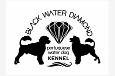 Obrázok používateľa Black Water Diamond