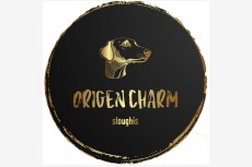 Obrázok používateľa OrigenCharm