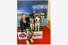 Obrázok používateľa Réka Szeifová