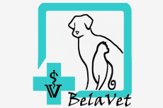 BelaVet - veterinárna ambulancia a psí salón