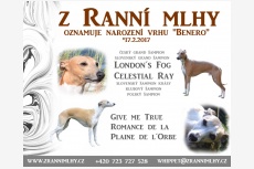 Vrh B - Z Ranní mlhy