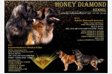 Vrh A - Honey diamond 