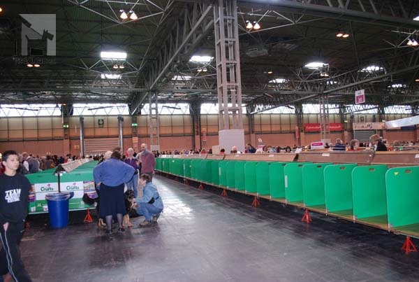 CRUFTS 2011 rad boxov na odloženie psov