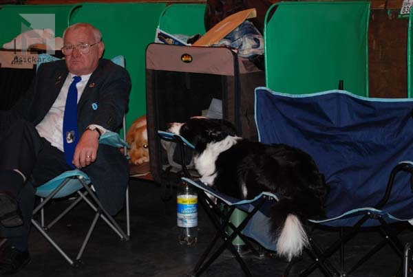 CRUFTS 2011