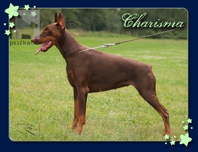 <a href="http://www.dobermanns.sk" target="_blank">Nuova Dolce Vita</a>