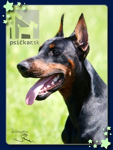 <a href="http://www.dobermanns.sk" target="_blank">Nuova Dolce Vita</a>